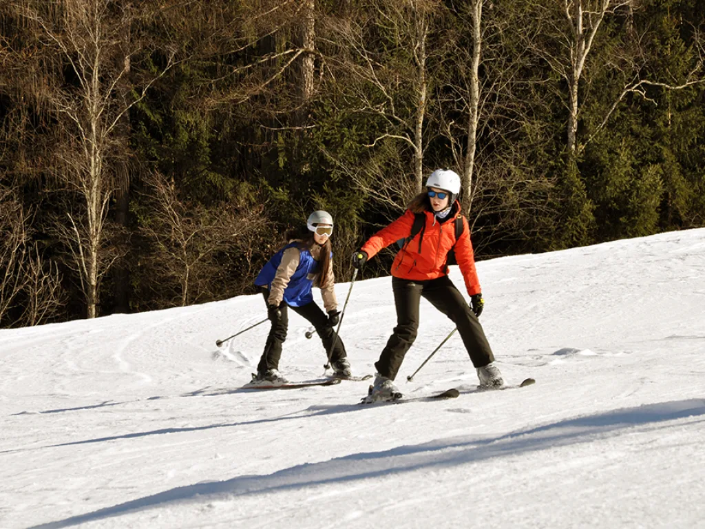 Zwei Skifahrende auf der Piste vor kahlen Bäumen.